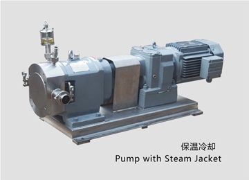 凸輪式轉(zhuan)子泵