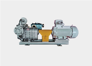 橡膠轉(zhuǎn)子泵